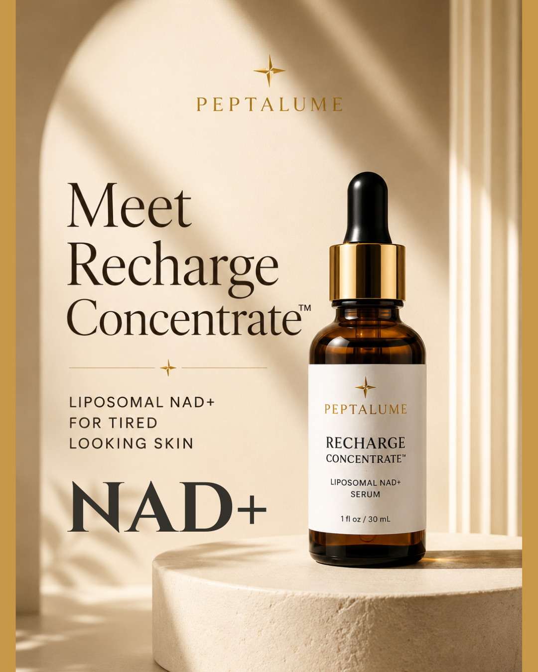 3 RECHARGE CONCENTRATE - Image 3